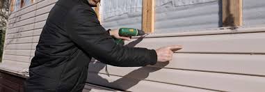 Best Siding Painting and Refinishing  in Boiling Spring Lakes, NC